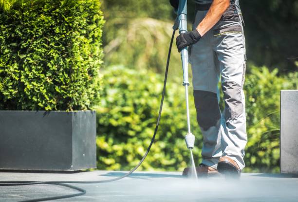 Best Gutter Cleaning  in Wurtland, KY