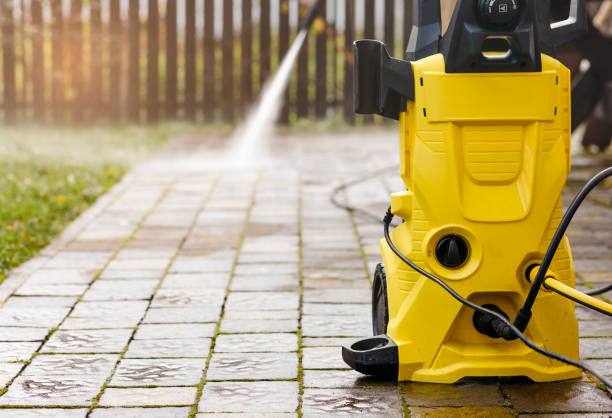 Best Roof Washing  in Wurtland, KY
